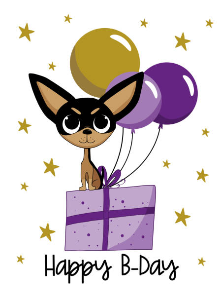 ilustraciones, imágenes clip art, dibujos animados e iconos de stock de feliz cumpleaños - lindo perro chihuahua en regalo de cumpleaños, con globos - birthday card dog birthday animal