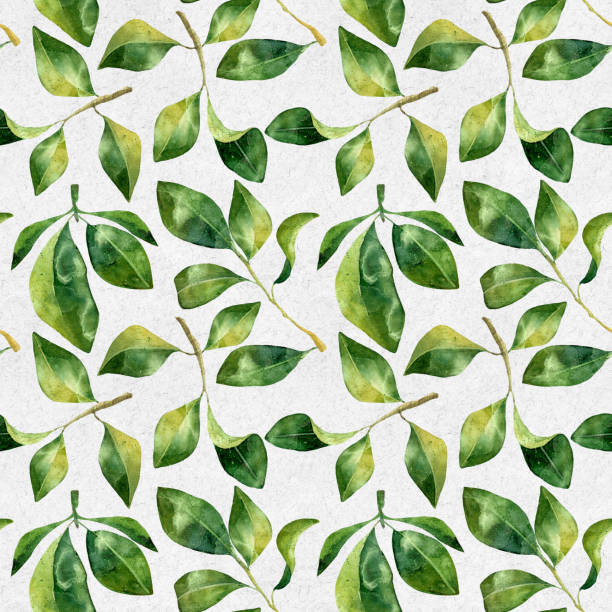 istock Green leaves watercolor seamless pattern. Botanical painting illustration isolated on white background. Summer Hand drawn illustration. Herbs for cosmetics, package, textile, cards, decoration 1387268241
