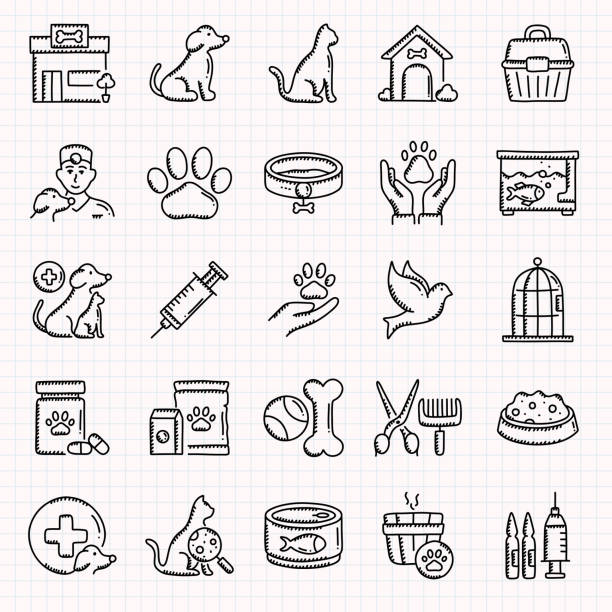 pet shop zestaw ręcznie rysowanych ikon, ilustracja wektorowa w stylu doodle - veterinary medicine illustrations stock illustrations
