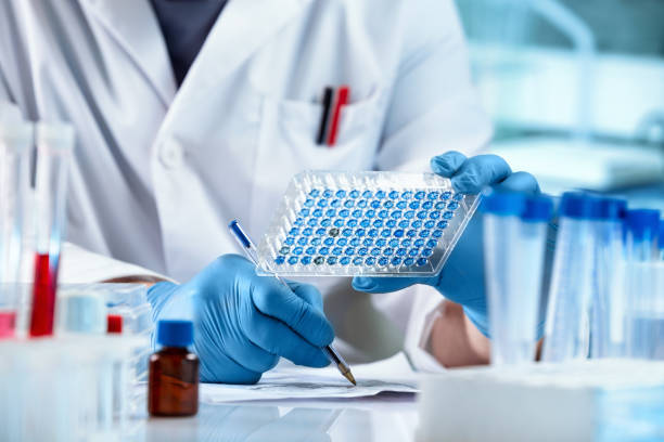 Scientist working with samples panel microplate and registering data for diseases diagnostic in the laboratory stock photo