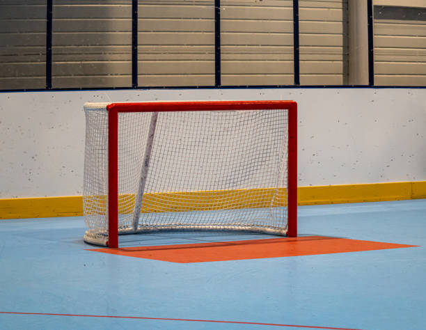 istock Line hockey goal, empty with no goalie in it 1387274155