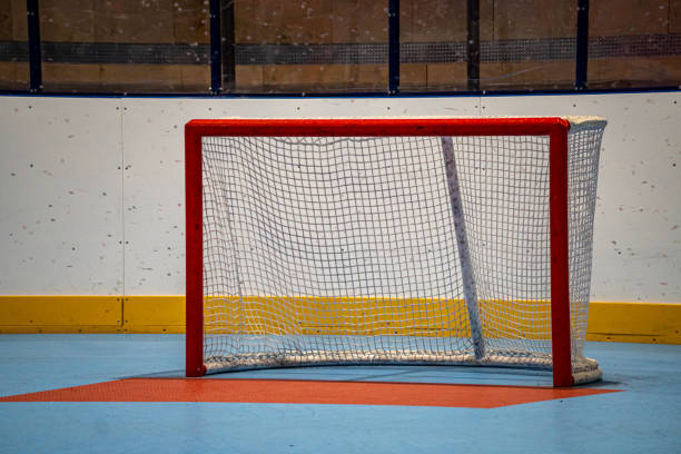 istock Line hockey goal, empty with no goalie in it 1387274742
