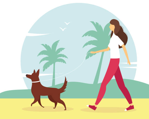 illustrazioni stock, clip art, cartoni animati e icone di tendenza di donna che cammina con il cane sulla spiaggia. il concetto di uno stile di vita attivo, ricreazione all'aperto. graziosa illustrazione estiva in stile piatto. - inhabit