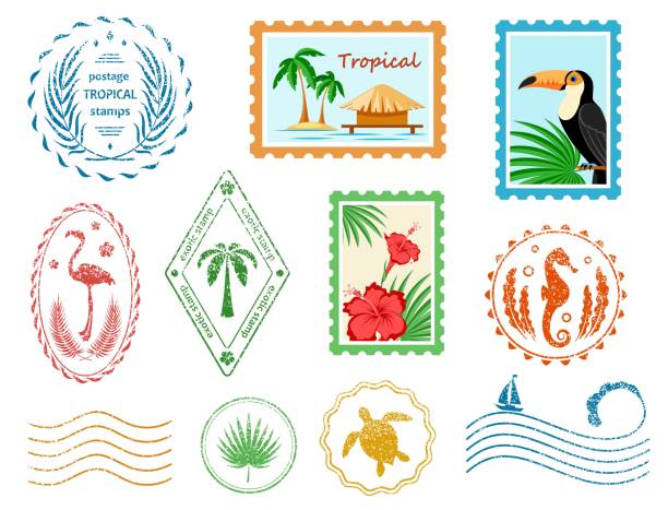 우편 우표 및 우편 물자. 열대 표지판과 기호 세트 - passport watermark pattern backgrounds stock illustrations