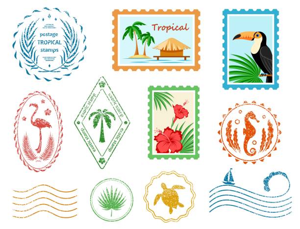 Postal stamps and postmarks. Set of tropical signs and symbols Postal stamps and postmarks. Set of various postmarks and postage stamps tropical palm, exotic birds and sea waves. Mail signs with texture. Vacation, travel, tourism, sea concept. Isolated. Vector stamp collecting stock illustrations