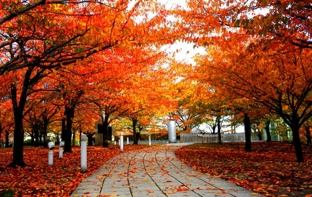 istock Beautiful Niigata ,Japan  pictures 1387284568