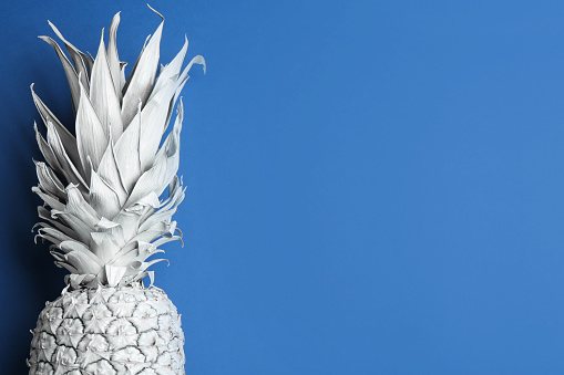 White pineapple on blue background, top view with space for text. Creative concept
