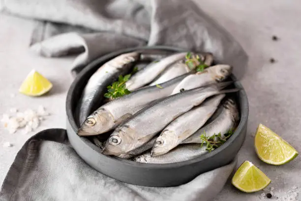 fresh large sardines with lemon, spices and sea salt on a gray plate, close-up