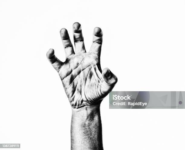 The Living Dead In Highcontrast Bw A Womans Hand Clutches Spookily Stock Photo - Download Image Now