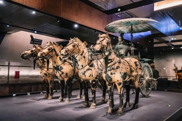 ein bronzenes charriot mit vier bronzenen pferden, die ausgegraben wurden - xian stock-fotos und bilder