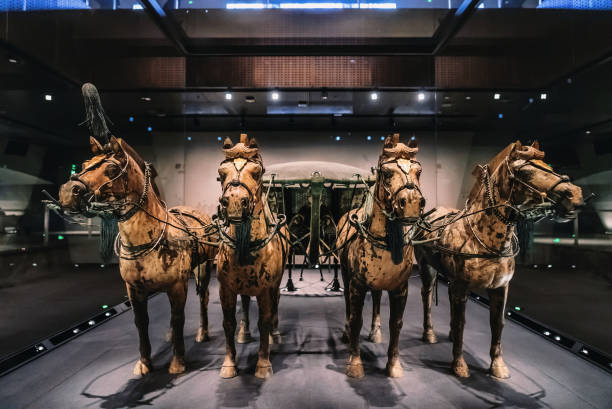 ein bronzenes charriot mit vier bronzenen pferden, die ausgegraben wurden - army xian china archaeology stock-fotos und bilder