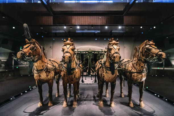 4개의 청동 말이 있는 청동 전차 - terracotta soldiers xian terracotta tomb 뉴스 사진 이미지