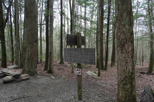istock Trail sign in the Smoky Mountains 1387304078