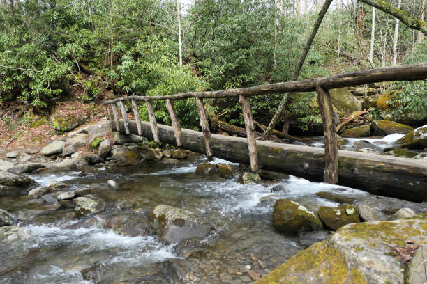 istock Log bridge typical of the Smokies 1387304103