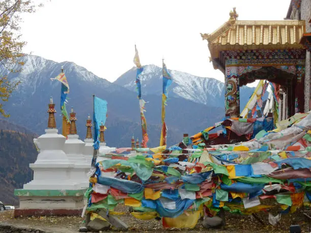 Buddhist Prayer Flags at Siguniangshan in China's Tibetan region.