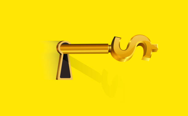 Golden key with dollar sign,Put the dollar sign key into the keyhole vector art illustration