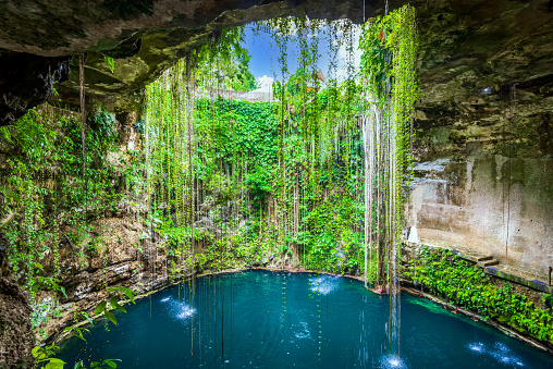 Ik-Kil Cenote, Mexico. Lovely cenote in Yucatan Peninsulla with transparent waters and hanging roots. Chichen Itza, Central America.