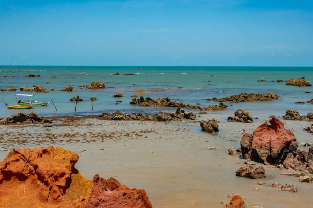 klify, skały i wydmy ponta grossa beach_21 - beach buggy zdjęcia i obrazy z banku zdjęć