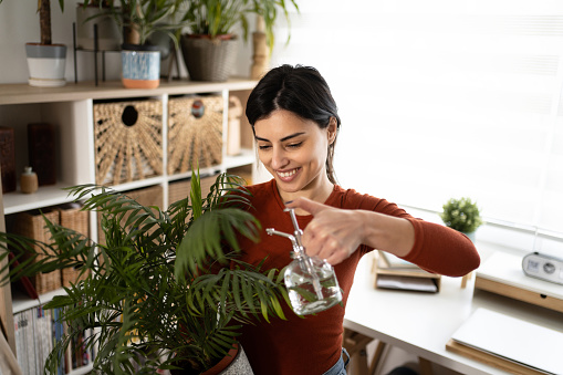 Cheerful young Caucasian woman spraying her houseplant with water