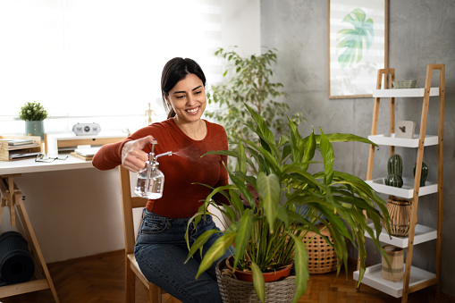 Carefree young Caucasian woman with water from spray bottle refreshing leaves of the plant