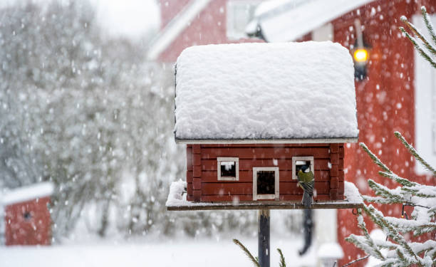 A red birdhouse covered with snow on the roof seen during snowfall in Karlstad, Sweden, a cold winter day.