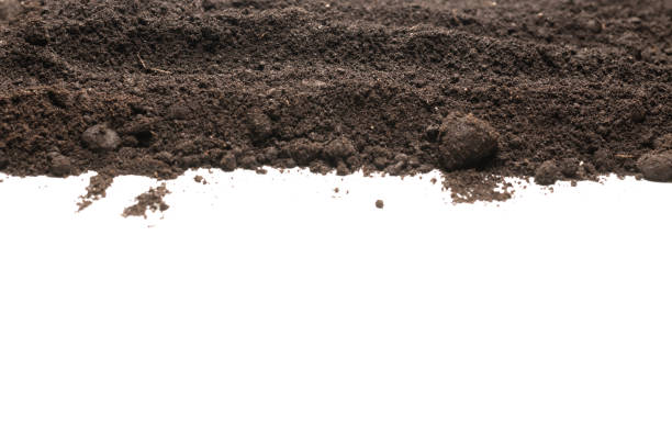 istock Black land for plant isolated on white background. 1387329711