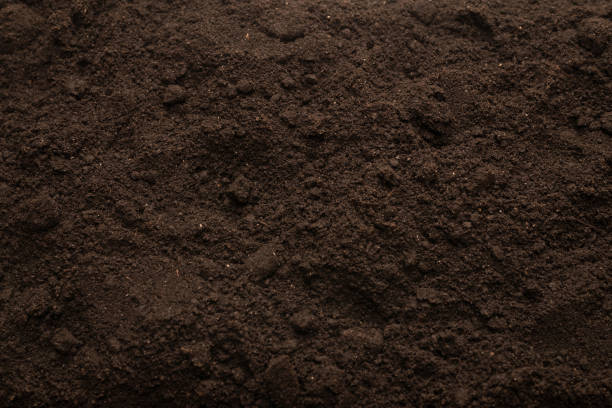 istock Black land for plant background. Top view. 1387329721
