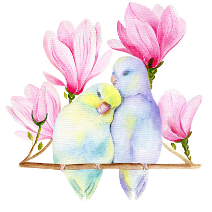 Lovesick parrots. Executed in watercolor. It can be used on postcards, illustrations in magazines, gift bags.