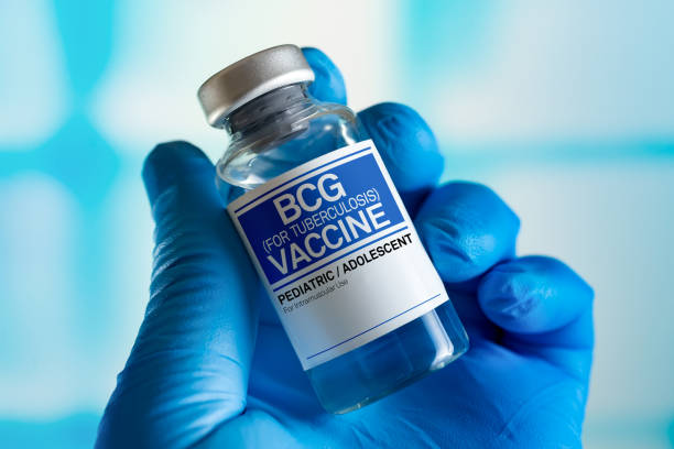 Doctor with vial of the doses vaccine for BCG Bacillus Calmette Guerin against tuberculosis disease. Medicine and health care concept Vaccination for booster shot for BCG Bacillus Calmette Guerin against tuberculosis in the children and adolescents. Doctor with vial of the doses vaccine for BCG against tuberculosis disease bacillus subtilis photos stock pictures, royalty-free photos & images
