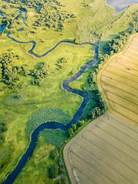 foto aérea do rio fluindo entre campos de agricultura amarela e verde no início da primavera no dia ensolarado - 3149 - fotografias e filmes do acervo