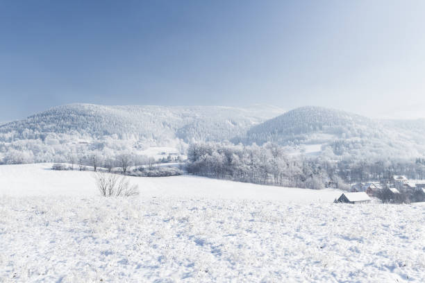 Marvelous winter landscape with clear blue sky. Lysa hora summit in the background - Moravian-Silesian Beskydy