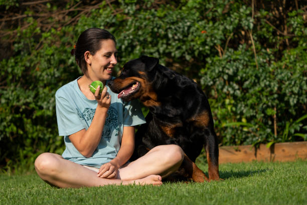istock Wife Cuddling a teddy bear Rottweiler 1387332464