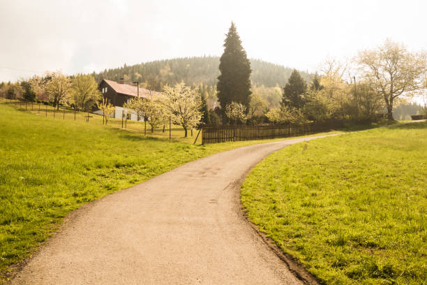 Road through marvelous mountain landscape. Lysa hora summit in the background - Moravian-Silesian Beskydy