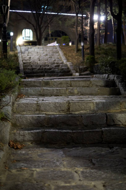istock Night view of Seoul 1387335529