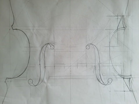 Paper drawing for a double bass. The image shows a close-up from a technical drawing how to build a Paper s  double bass.