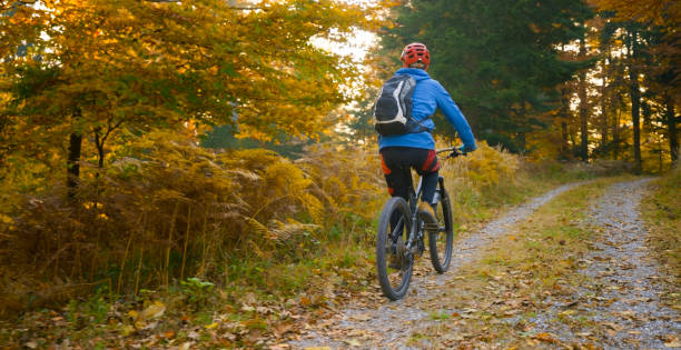 istock Young man mountain biking on dirt track 1387338299
