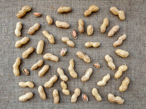 cacahuètes sur toile de jute - nobody food canvas peanut photos et images de collection