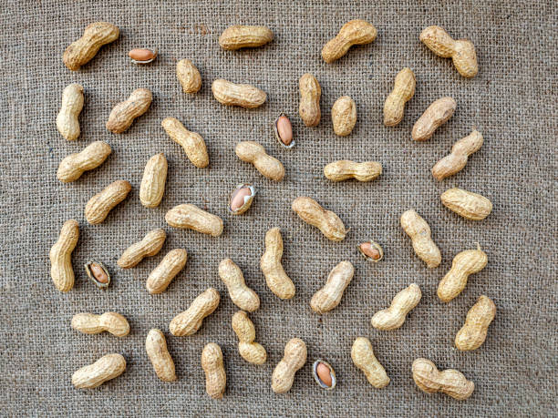amendoins em tecido de arroto - nobody food canvas peanut - fotografias e filmes do acervo