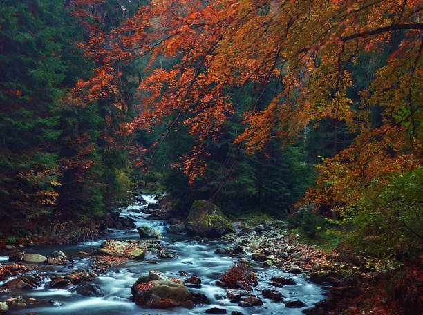Transylvania, Romania pictures