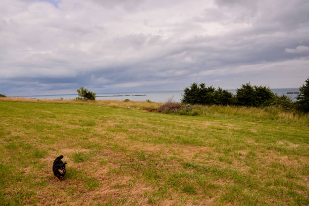 Photo Picture Scenic photography landscape European natural countryside