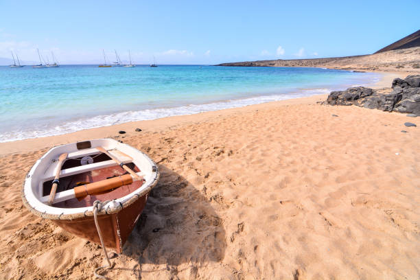 paisagem nas ilhas canárias vulcânicas tropicais espanha - alb - fotografias e filmes do acervo