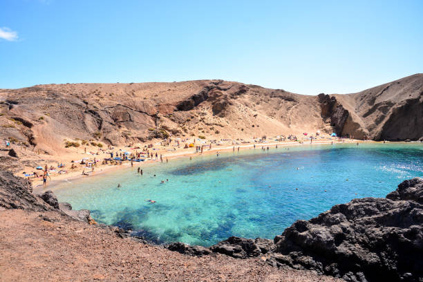 istock Landscape in Tropical Volcanic Canary Islands Spain 1387341256