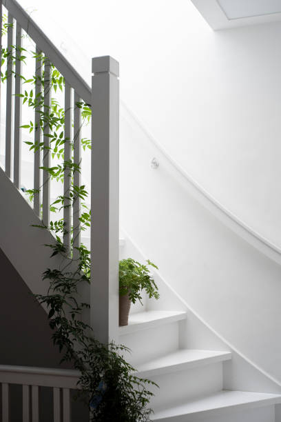 istock white wooden stairs with decorative plants 1387341894