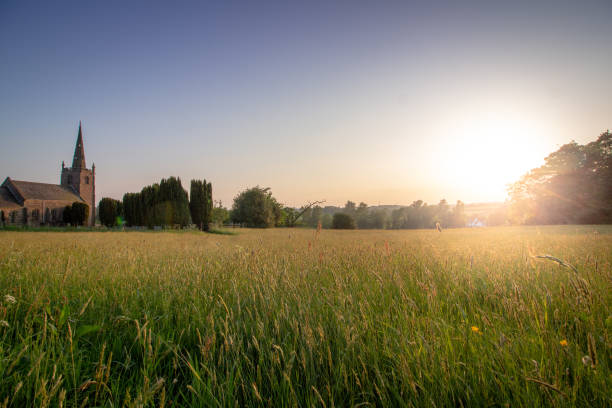 Meadow at sunset A church can be seen behind the long grass of a meadow at sunset. wiltshire stock pictures, royalty-free photos & images