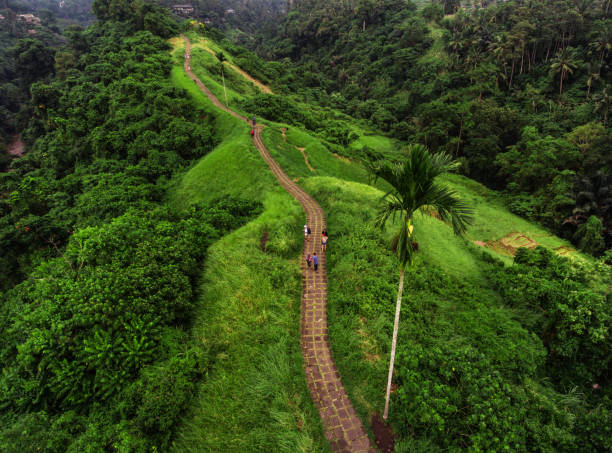 istock Campuhan Ridge Walk in Ubud 1387345786