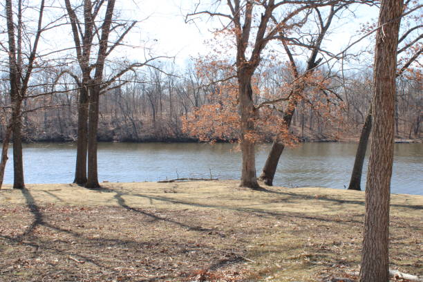 istock Beautiful clearing near the Lake 1387345869
