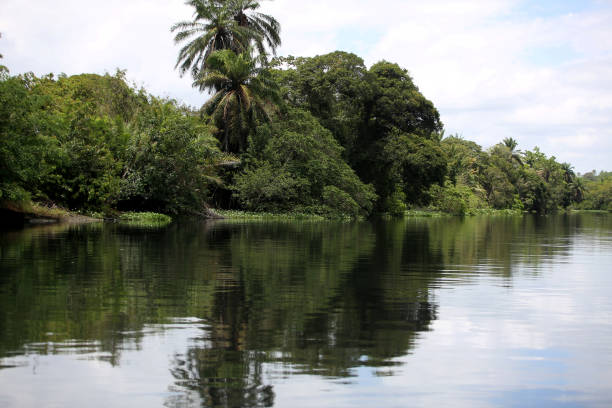 istock polluted water from the joanes river 1387346748