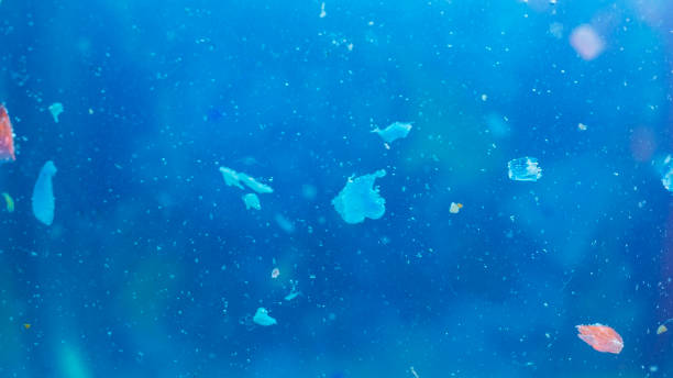 istock Microplastics on the surface of a polluted water. Concept of global warming and climate change. 1387348230
