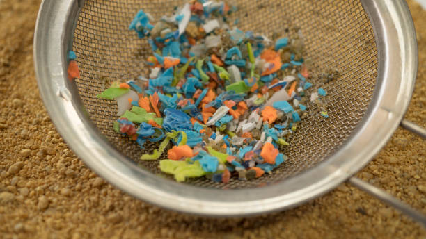 Microplastics hand-picked with a steel sieve from the beach. stock photo