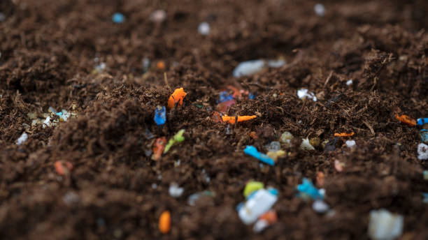 Concept of global warming and climate change. Non-recyclable plastic pollution in the soil at the field.s stock photo